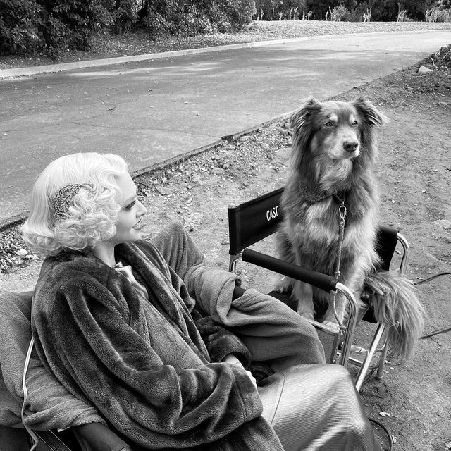 Nothing better than dogs and movies. Behind the scenes of @mank with @mingey & @lilyjcollins.