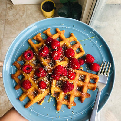 Hue White Dinner Plates, Set of 4 - image 8 of 9