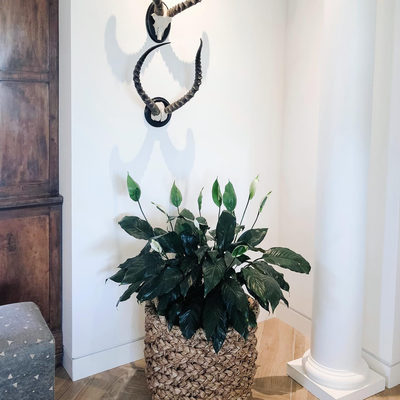 Emlyn Woven Hamper with Lid - image 5 of 9