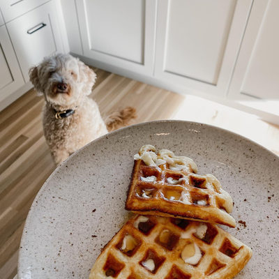 Wilder Salad Plate - image 13 of 17