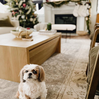 Vander Rectangular Natural White Oak Wood Storage Coffee Table - image 11 of 13