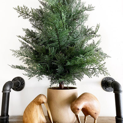 Natural Wood Kiwi Bird - image 6 of 10