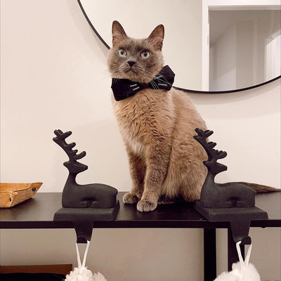 Zinc Sitting Reindeer Christmas Stocking Holder - image 7 of 10