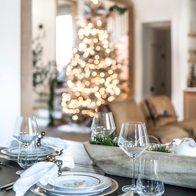 Schott Zwiesel Tour 18-Oz. Red Wine Glass - image 16 of 14